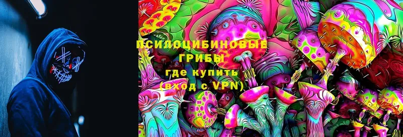 Галлюциногенные грибы Cubensis  OMG рабочий сайт  Жиздра 